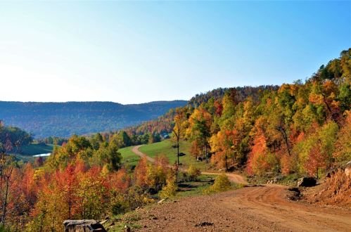 A winding dirt road through vibrant autumn foliage and rolling hills under a clear blue sky.