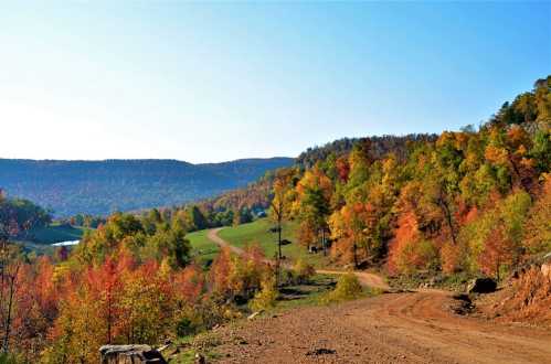 A winding dirt road through vibrant autumn foliage and rolling hills under a clear blue sky.