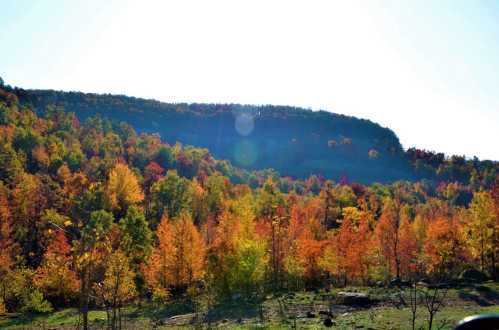 Vibrant autumn foliage covers rolling hills under a bright sky, showcasing a mix of orange, yellow, and green trees.