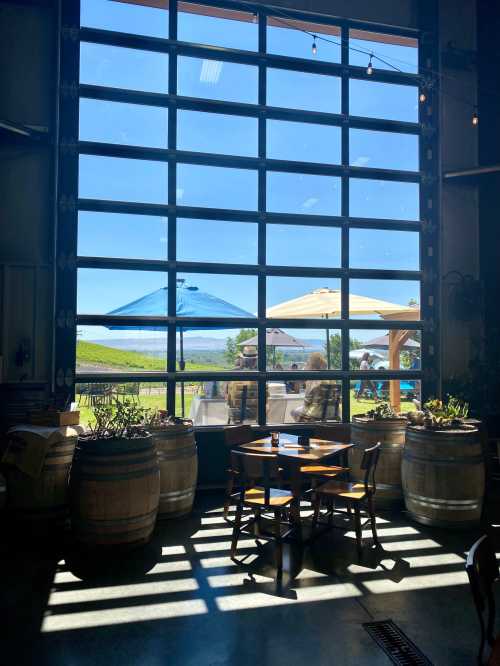 A sunny view through large glass doors, showcasing outdoor seating and vineyard scenery, framed by wooden barrels.