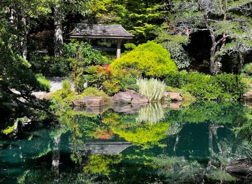 A serene garden scene with a pond reflecting lush greenery and a small gazebo surrounded by colorful plants.