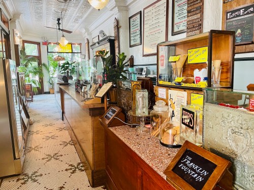 A cozy ice cream shop interior with a wooden counter, glass displays, and tropical plants.