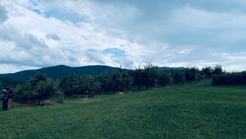 A lush green field with apple trees under a cloudy sky, framed by distant mountains. Two people are visible in the foreground.