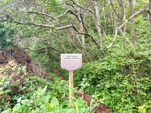 A sign for "Old Colony Nature Pathway" stands amidst dense greenery and trees in a forested area.