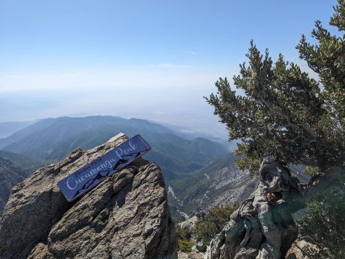 A rocky peak with a sign reading "Cucamonga Peak" surrounded by mountains and a clear blue sky.