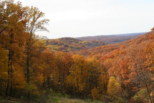 A scenic view of rolling hills covered in vibrant autumn foliage, showcasing shades of orange, yellow, and green.