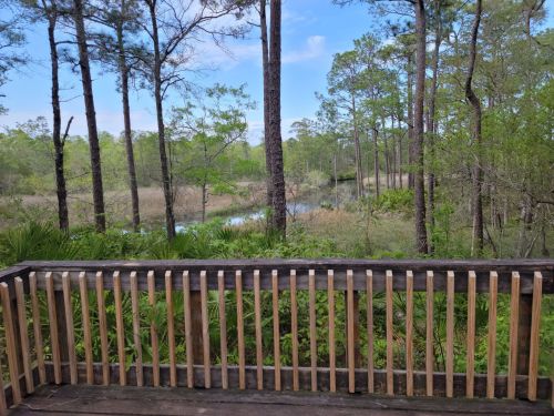 A wooden railing overlooks a lush green landscape with trees and a calm waterway in the distance.