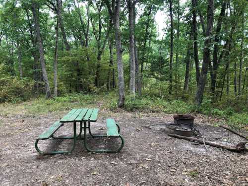 A green picnic table beside a fire pit in a wooded area with trees and sparse underbrush.