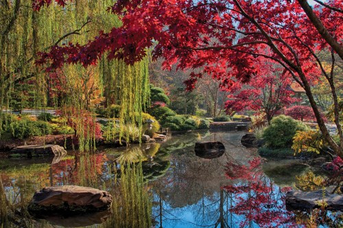 A serene garden scene with vibrant red trees, lush greenery, and a calm pond reflecting the colorful foliage.