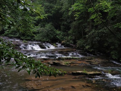 A serene forest scene featuring a flowing waterfall surrounded by lush greenery and rocky terrain.