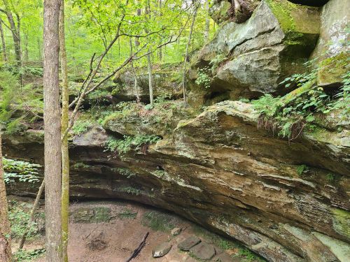 A rocky cliff surrounded by lush green trees and ferns in a serene forest setting.