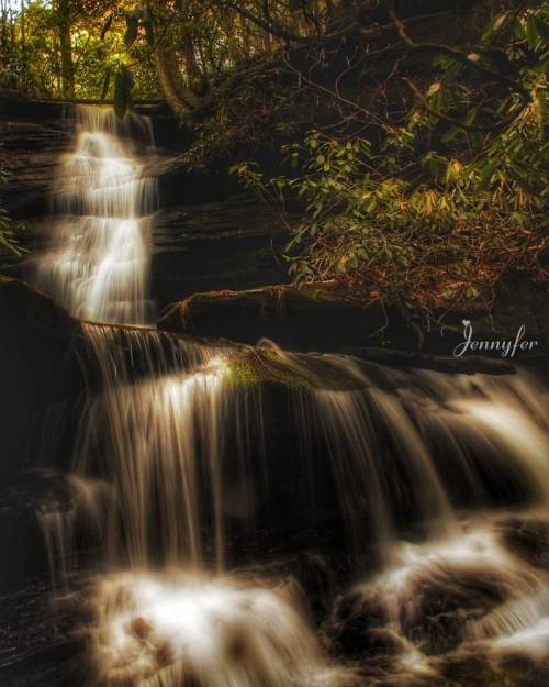 A serene waterfall cascades over rocky steps, surrounded by lush greenery in a tranquil forest setting.