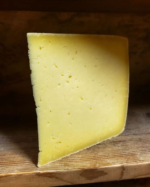 A wedge of yellow cheese resting on a wooden surface, showcasing its smooth texture and clean edges.