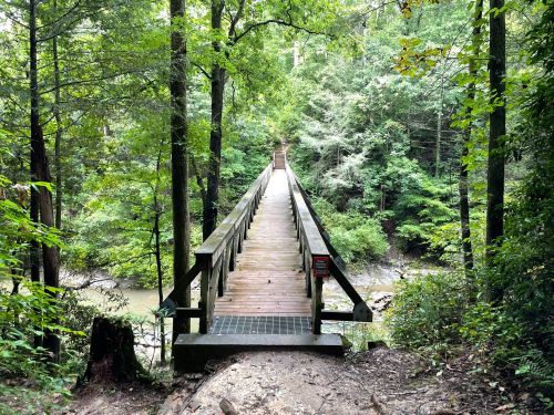 A wooden bridge stretches over a creek, surrounded by lush green trees and foliage.