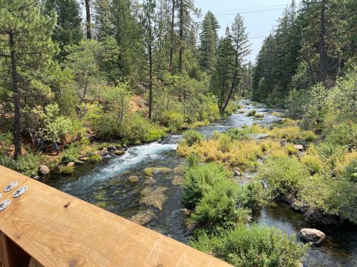 A serene river flows through a lush forest, surrounded by greenery and rocky banks under a clear sky.