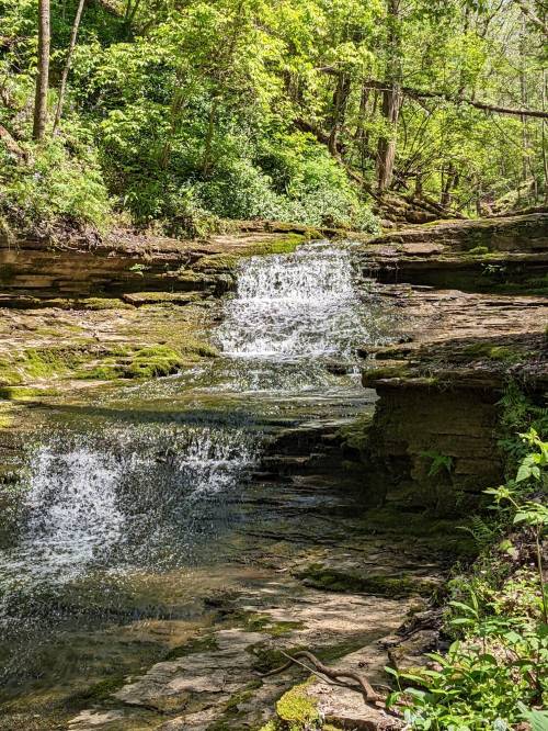 A serene waterfall cascades over mossy rocks, surrounded by lush green foliage in a tranquil forest setting.