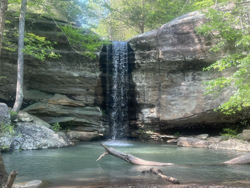 A serene waterfall cascades over rocky cliffs into a calm pool, surrounded by lush greenery and trees.