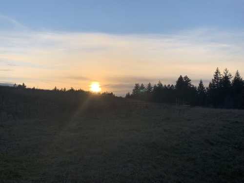 A serene landscape at sunset, with the sun setting behind trees and a grassy field under a blue sky.