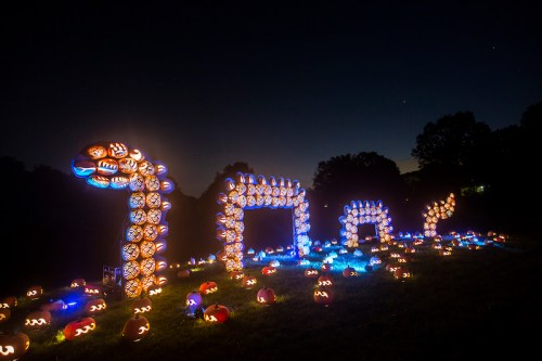 A nighttime display of illuminated pumpkins arranged to form the number "100" with a snake-like design.