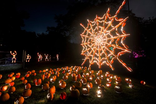 A vibrant display of illuminated pumpkins and a large spider web made of lights against a dark night sky.