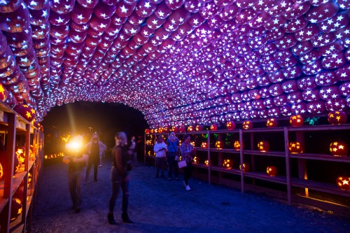 A vibrant tunnel of glowing pumpkins and colorful lights, with visitors enjoying the festive atmosphere.