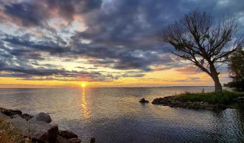 A serene sunset over a calm lake, with a silhouetted tree and colorful clouds reflecting on the water.