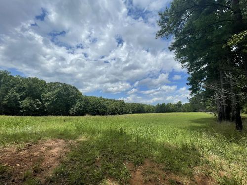 A wide grassy field bordered by trees under a partly cloudy sky.