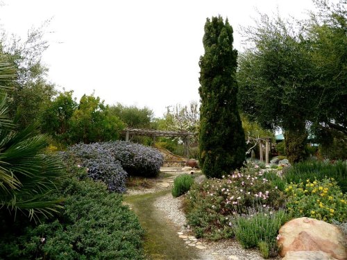 A serene garden path surrounded by lush greenery, colorful flowers, and a tall conifer tree under a cloudy sky.