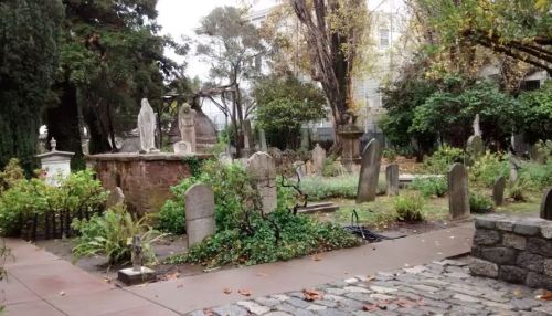 A serene cemetery with weathered gravestones, surrounded by greenery and trees, on a cloudy day.