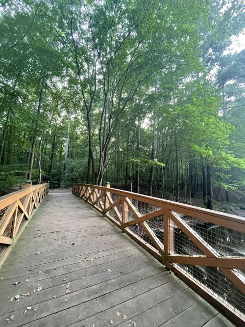 A wooden bridge leads through a lush green forest, surrounded by tall trees and a serene atmosphere.