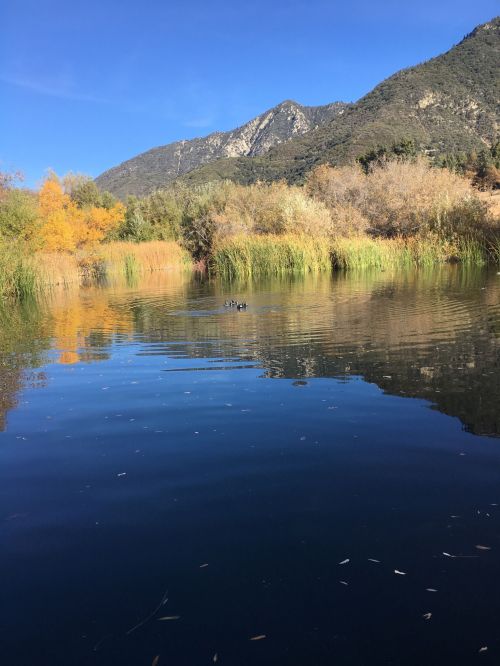 A serene lake surrounded by autumn foliage and mountains under a clear blue sky.