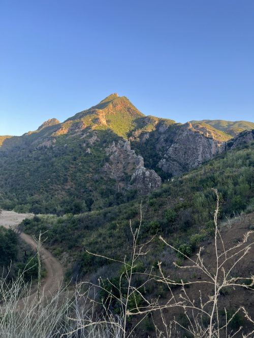A scenic view of a mountain with greenery, under a clear blue sky, showcasing rugged terrain and a winding path.