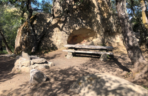A rustic wooden bench sits in a shaded area surrounded by rocks and trees.