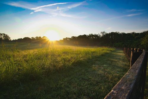 A serene sunrise over a grassy field, with a wooden fence lining the path and trees in the background.