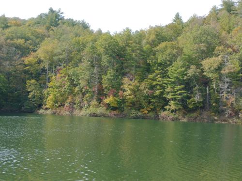 A serene lake surrounded by lush green trees, with hints of autumn colors on the foliage.