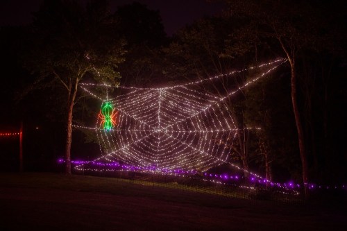 A large spider web made of colorful lights, with a glowing spider, set against a dark forest backdrop.
