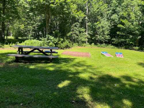 A picnic table in a grassy area with two American flag-themed mats and trees in the background.