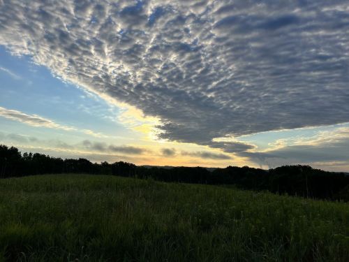A serene landscape featuring a grassy field under a dramatic sky filled with clouds at sunset.