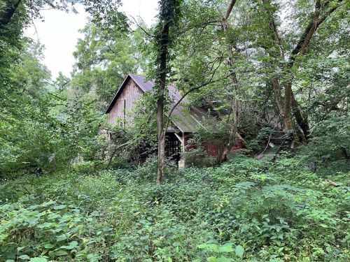 An old, weathered barn surrounded by dense greenery and trees in a lush forest setting.