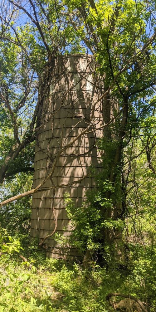 A tall, weathered silo surrounded by dense greenery and trees, with sunlight casting shadows on its surface.