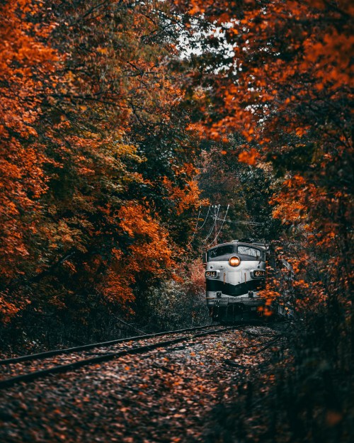A vintage train approaches through a vibrant autumn landscape with orange and red foliage lining the tracks.