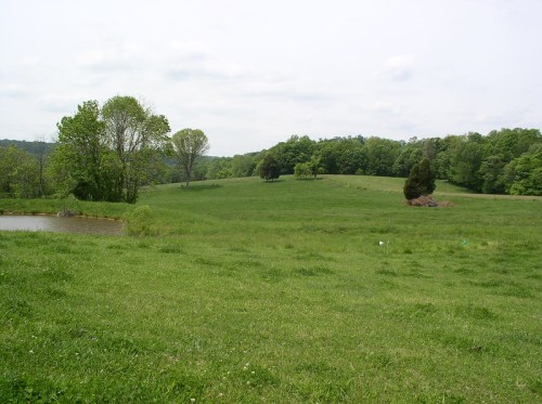 A lush green landscape with a pond, trees, and rolling hills under a cloudy sky.