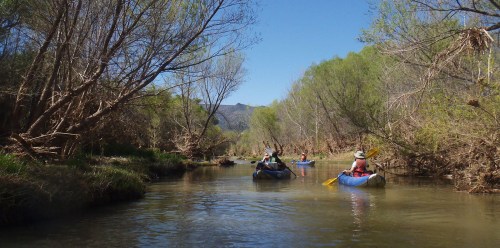 Three people kayak down a calm river surrounded by trees and mountains under a clear blue sky.