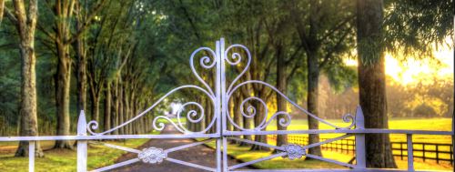 A decorative wrought iron gate opens to a tree-lined path bathed in warm sunlight.