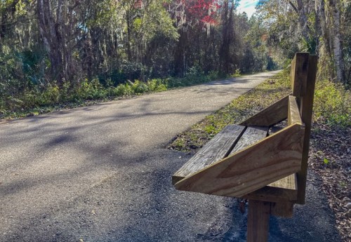 A wooden bench beside a quiet, tree-lined path on a sunny day, with colorful foliage in the background.
