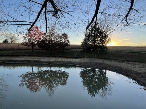 A serene landscape featuring a pond reflecting trees and a sunset, framed by bare branches.