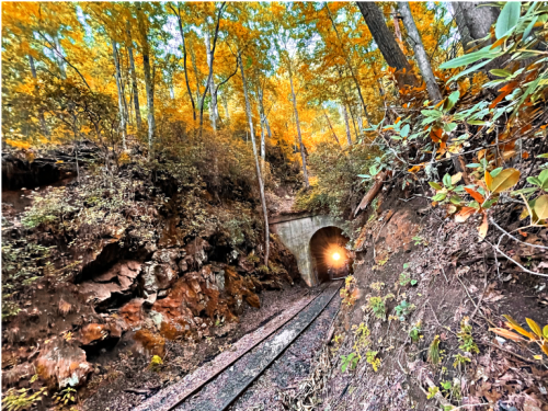 A train tunnel surrounded by vibrant autumn foliage and rocky terrain, with a train light visible in the distance.