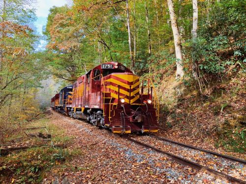A colorful train travels along a scenic, tree-lined track in autumn, surrounded by vibrant foliage.