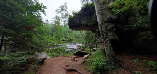 A serene forest scene featuring a rocky overhang, lush greenery, and a flowing river in the background.