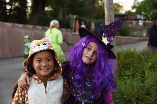 Two children pose together, one in a lion costume and the other in a purple witch outfit, smiling at the camera.
